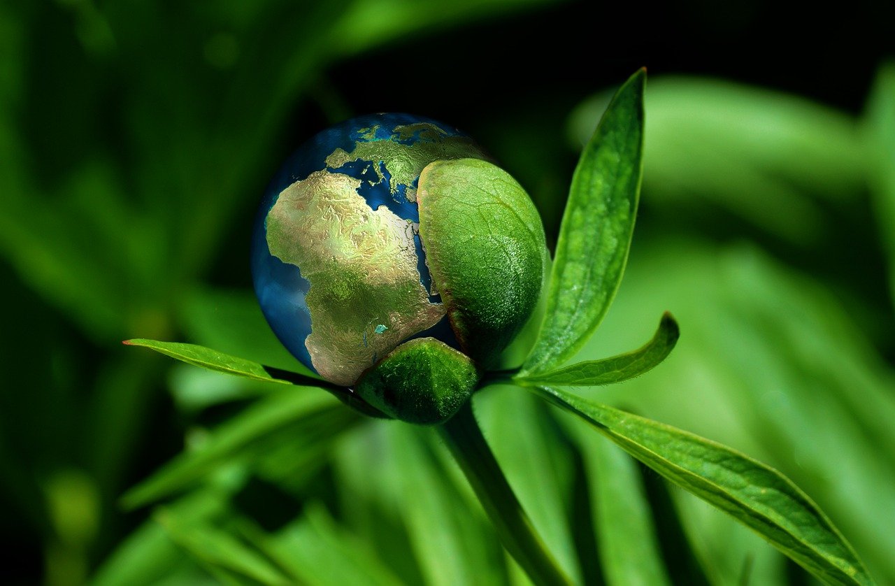ES ruošia naują klimato politikos etapą: spręs dėl emisijų mažinimo po 2030 metų