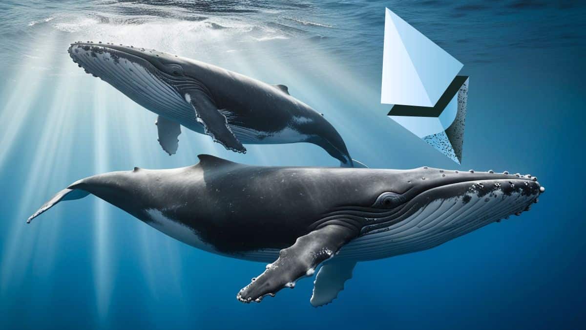 „Ethereum” banginis per savaitę sukaupė beveik dvidešimt mln. dolerių vertės ETH poziciją