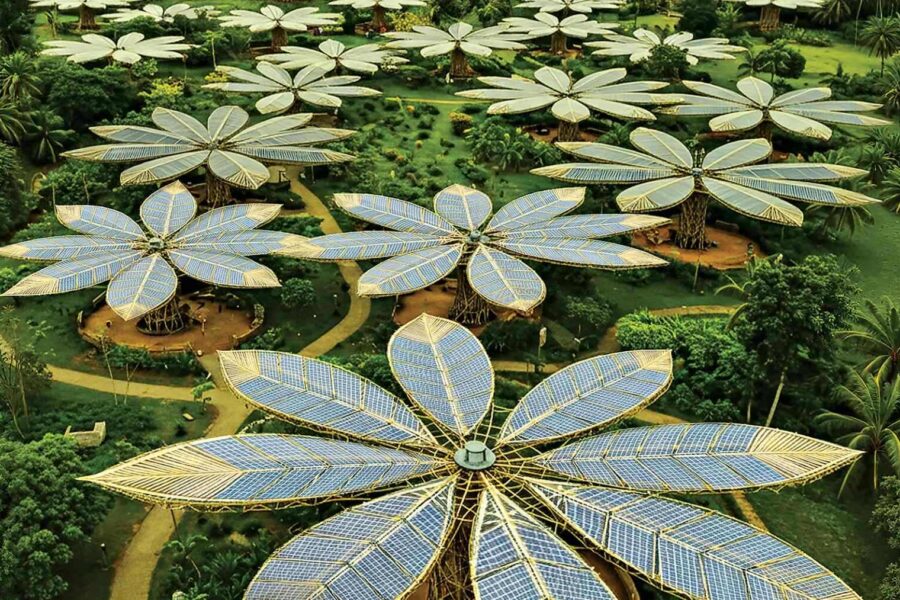 Gamina ne tik elektrą, bet ir vandenį: šie lapai pakeis energetikos rinką