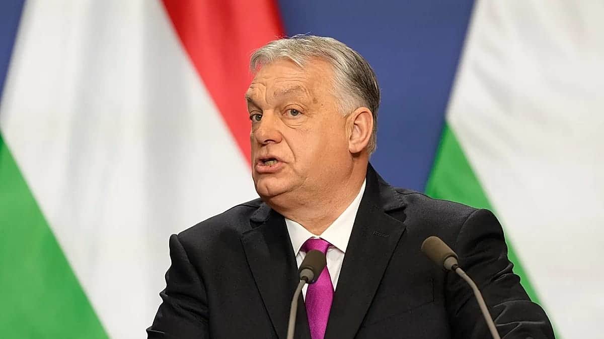 Orbáno intelektinis sąjungininkas baiminasi: dešinė gali pakartoti Trumpo 2016-ųjų klaidas