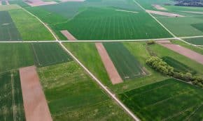 Laukai. ELTA / Andrius Ufartas