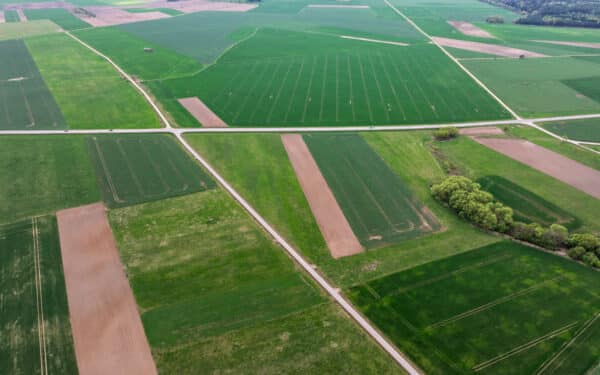 Startuoja pasėlių deklaravimo etapas: sistema jau leidžia atnaujinti laukų duomenis