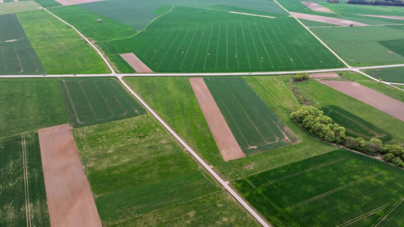 NŽT atkreipia dėmesį į pagrindines klaidas norint įsigyti valstybinę žemės ūkio paskirties žemę