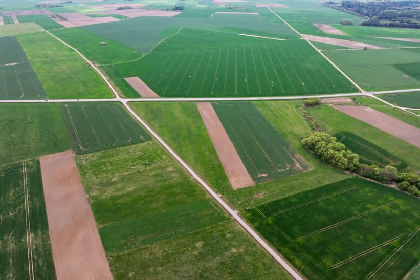 Laukai. ELTA / Andrius Ufartas