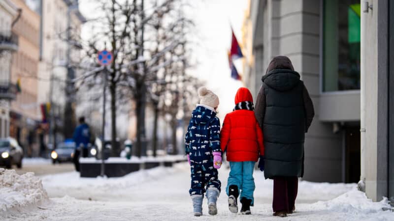 Mažėjanti darbo jėga stabdys augimą: Lietuvai prognozuojamas reikšmingas ekonomikos sulėtėjimas