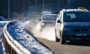 Tarša. ELTA / Julius Kalinskas