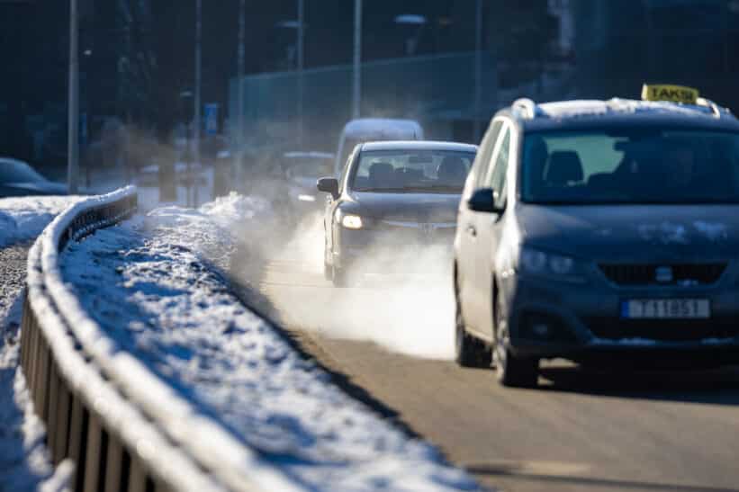 Tarša. ELTA / Julius Kalinskas