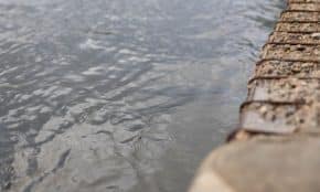 Potvynis. ELTA / Elvinas Kviatkovski