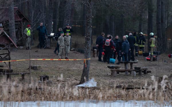 Budrys prakalbo apie incidentus su dronais: Lietuva nėra visiškai apsaugota