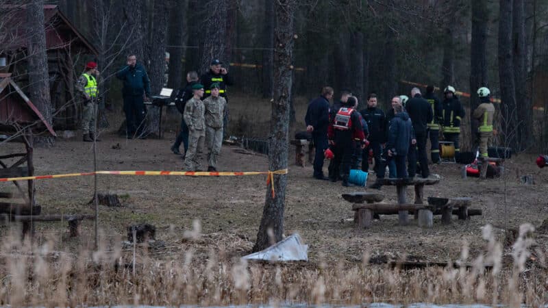 Budrys prakalbo apie incidentus su dronais: Lietuva nėra visiškai apsaugota