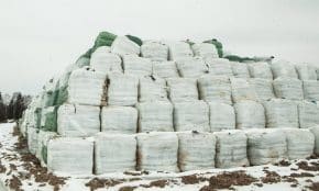 Kazokiškių sąvartynas. Dainiaus Labučio (ELTA) nuotr