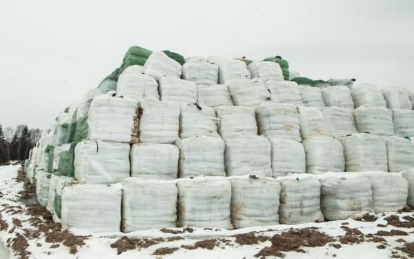 Kazokiškių sąvartynas kelia pavojų: savivaldybė skelbia ekstremalią situaciją