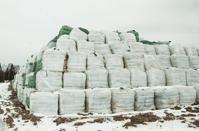 Kazokiškių sąvartynas. Dainiaus Labučio (ELTA) nuotr