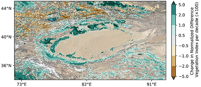 Padidėjusi augalija aplink dykumą