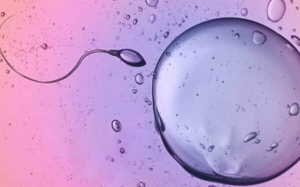 Naujas fizikos modelis: spermatozoidai juda ignoruodami klasikinę simetriją