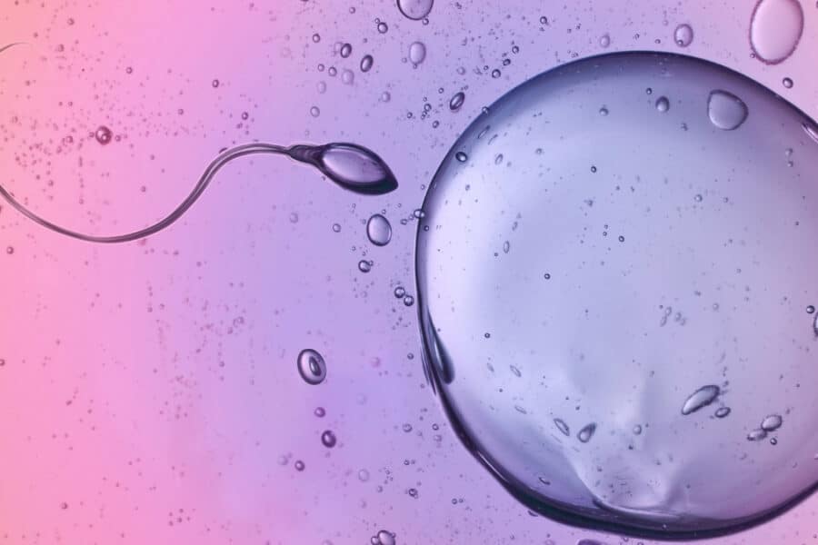 Naujas fizikos modelis: spermatozoidai juda ignoruodami klasikinę simetriją