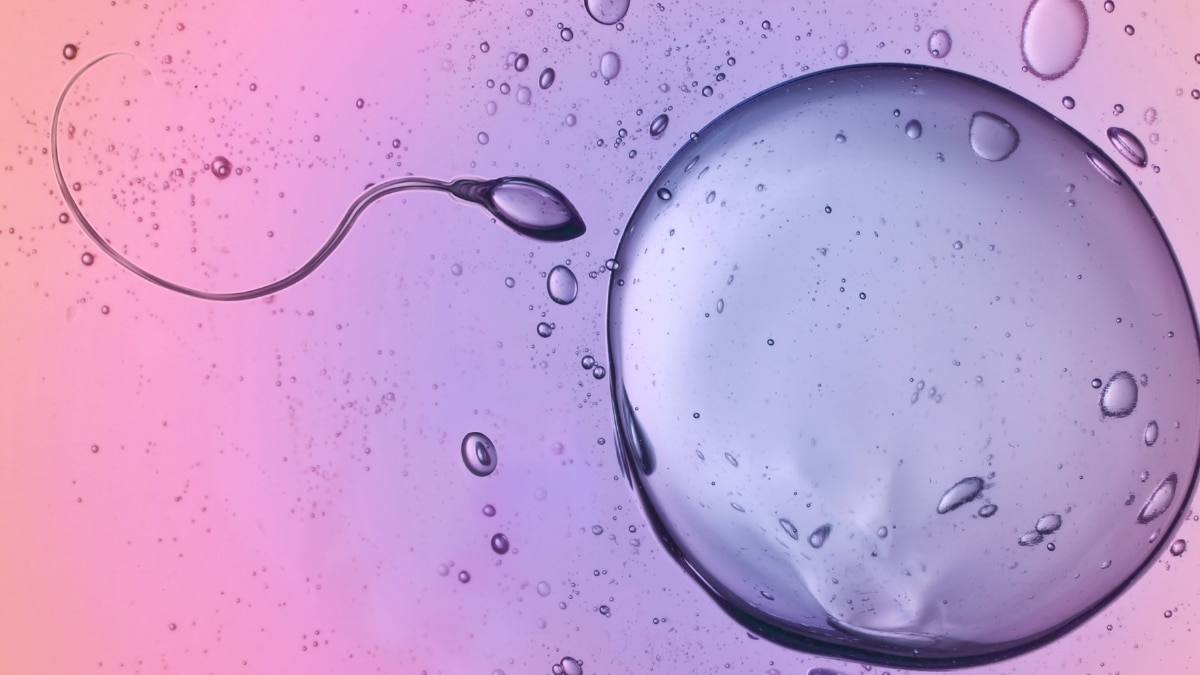 Naujas fizikos modelis: spermatozoidai juda ignoruodami klasikinę simetriją