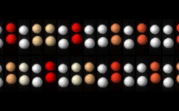Mokslininkai sukūrė laiko kristalą, prireikė tik garsiakalbių ir putplasčio rutuliukų
