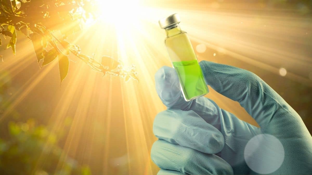 Skysta saulės energija: nauja technologija, galinti pakeisti namų elektrą