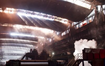 Lenkijos šarvų gamybos milžinė keičia modelį: kuriama valstybinė įmonė