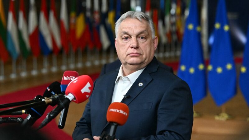 P. Magyaro pergalė Vengrijoje gali atverti Lenkijai 2 mlrd. Eur ES paramą