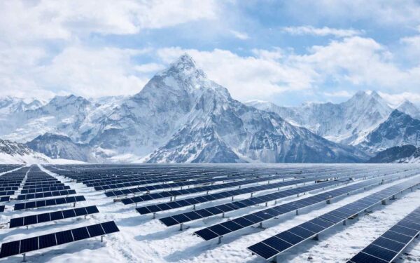 „Saulės avys“ ir atgyjanti dykuma: kaip milžiniška Tibeto elektrinė pakeitė regiono ekosistemą