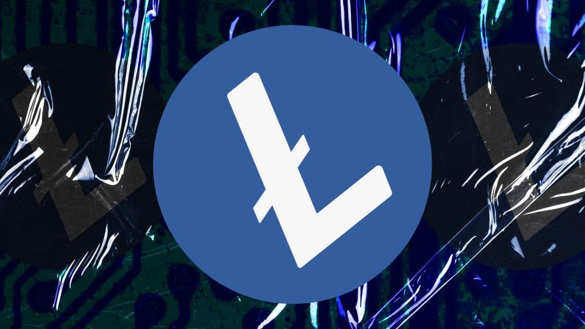 Kriptovaliutų vagystė dėl „Litecoin“ pažeidžiamumo – kas atlygins šimtatūkstantinius rinkos nuostolius?