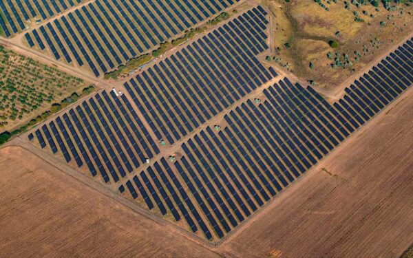 Netikėtas saulės elektrinių efektas: mokslininkai atskleidžė parkų efektą dirvožemiui