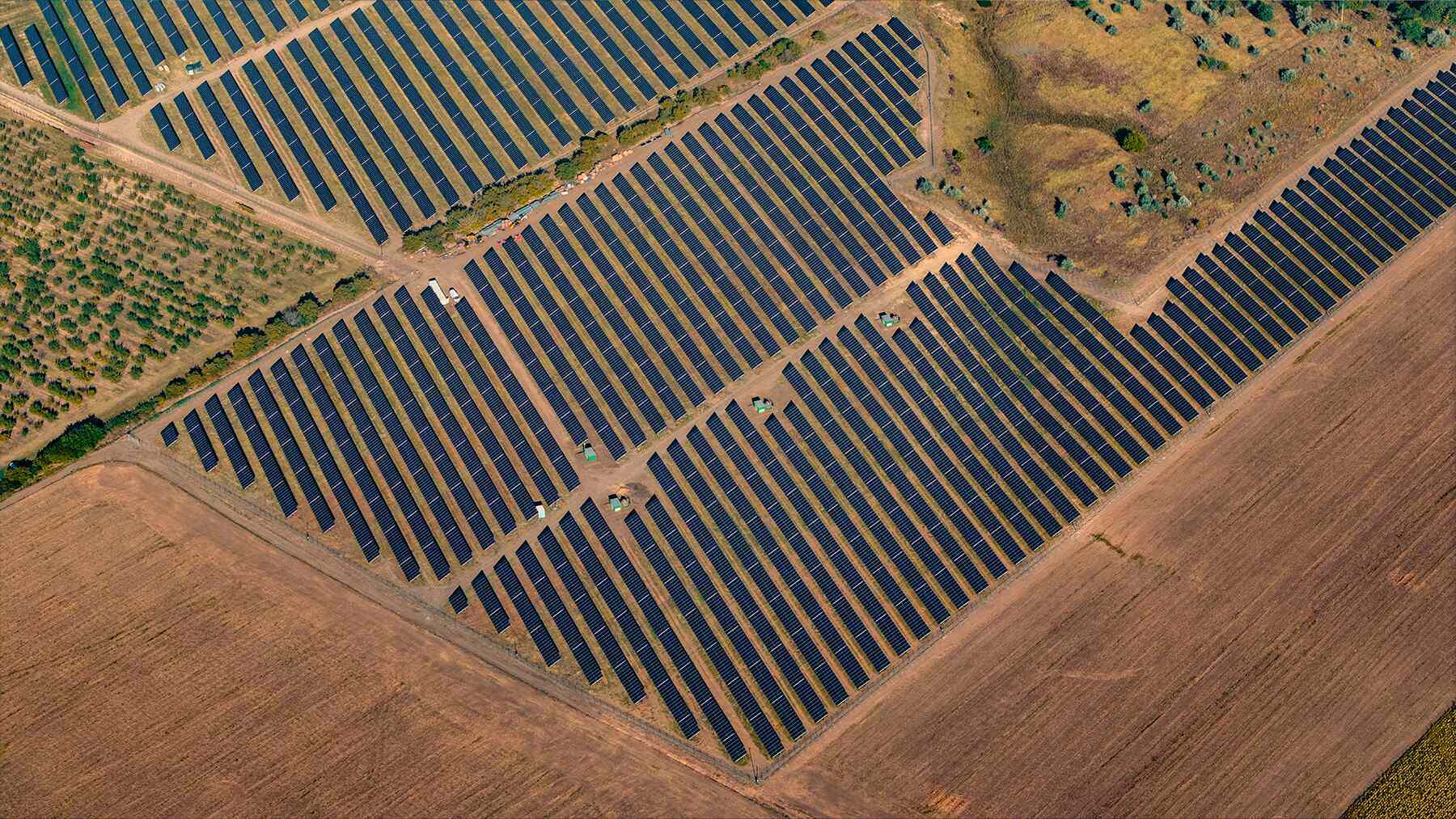 Netikėtas saulės elektrinių efektas: mokslininkai atskleidžė parkų efektą dirvožemiui