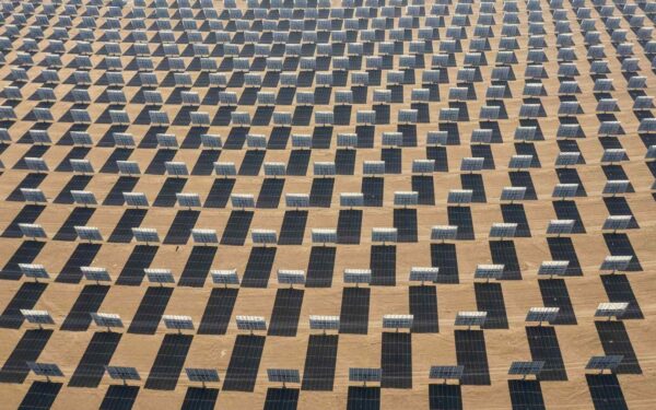 Netikėtas atradimas dykumoje: po saulės elektrine pradėjo klestėti gyvybė