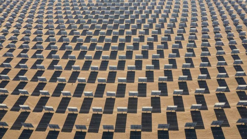 Netikėtas atradimas dykumoje: po saulės elektrine pradėjo klestėti gyvybė