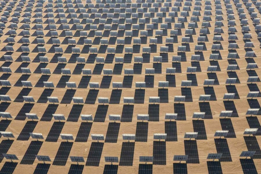 Netikėtas atradimas dykumoje: po saulės elektrine pradėjo klestėti gyvybė