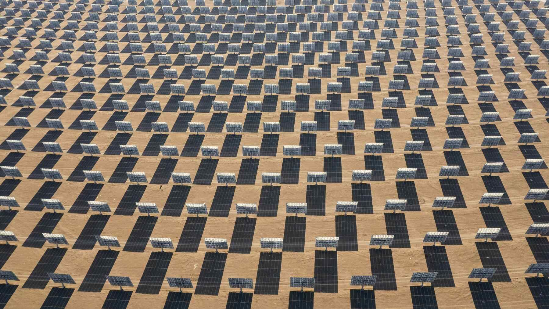 Netikėtas atradimas dykumoje: po saulės elektrine pradėjo klestėti gyvybė