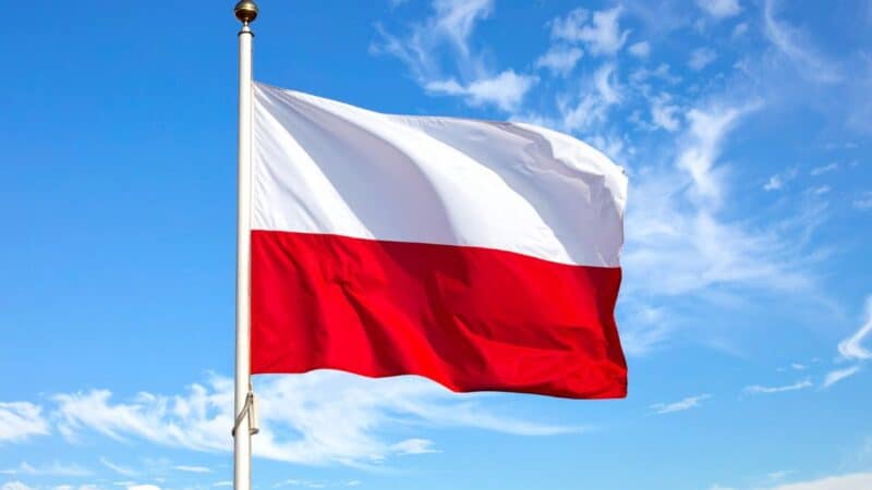 S16 kelias per Mozūriją vėl stringa: gamtosaugininkai prašo trečio maršruto varianto