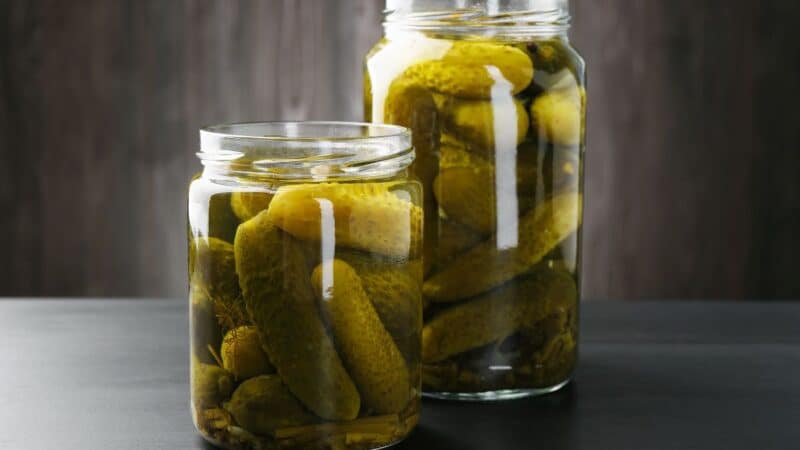 Netikėtas teismo sprendimas: kaltinimai dėl agurkėlių „Geras vaizdelis“ paslėptos politinės reklamos – atmesti