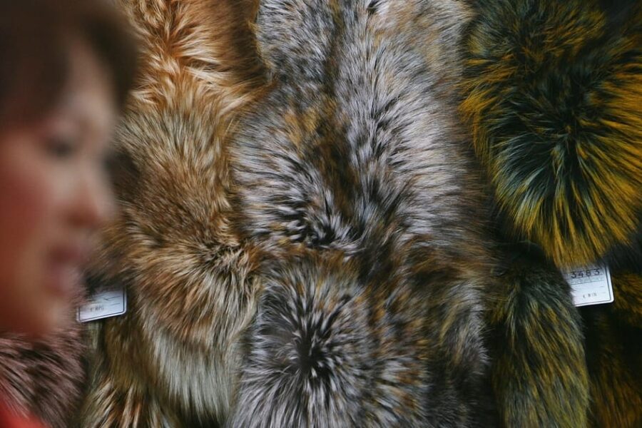 Ar kailių draudimas taps realybe? Sprendimas artėja, bet nesutarimai gilėja