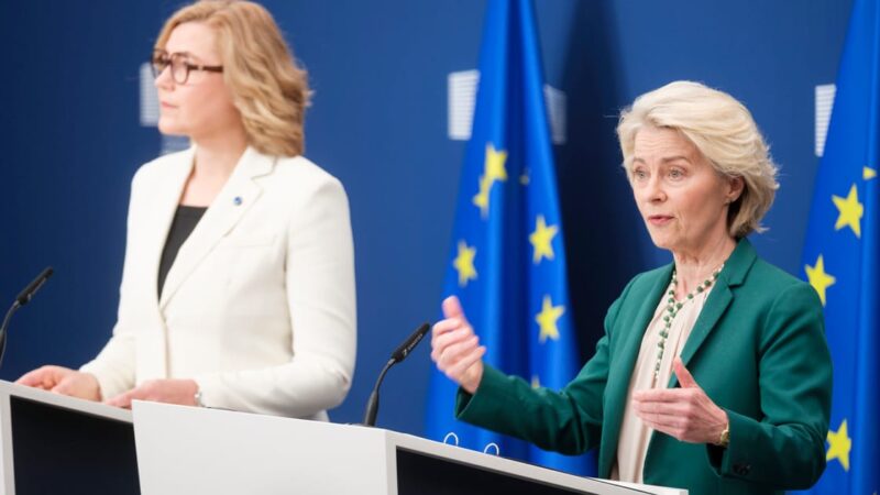 Amžiaus patikra internete: ES programėlė paruošta, bus naudojami trys būdai