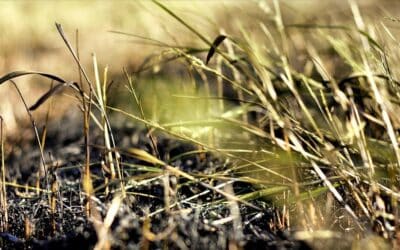 Keičiasi taisyklės visoje Lietuvoje: dalyje teritorijų tai bus griežtai ribojama