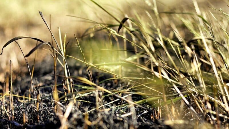 Keičiasi taisyklės visoje Lietuvoje: dalyje teritorijų tai bus griežtai ribojama