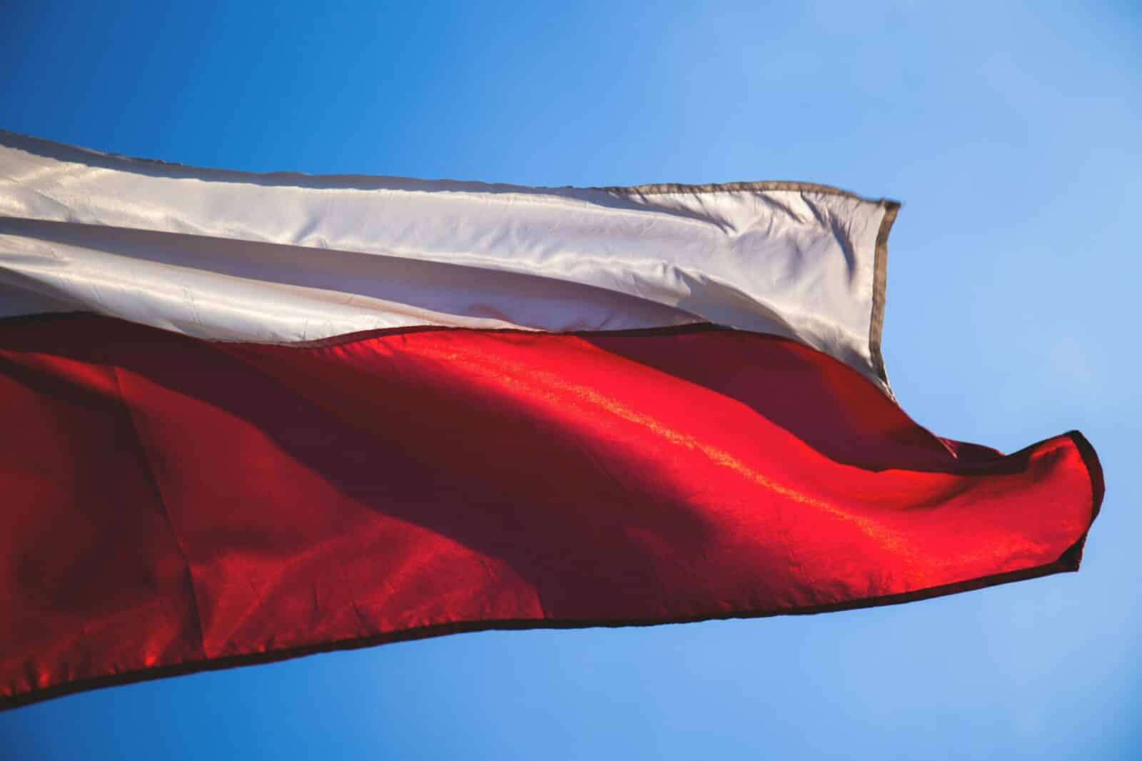 Lenkija perka prieštankinių minų už 790 mln. Eur – ar Baltijos šalys seks pavyzdžiu?