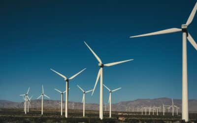 Mokslininkai skambina pavojaus varpais: vėjo jėgainės kelia pavojų, apie kurį daugelis nežino