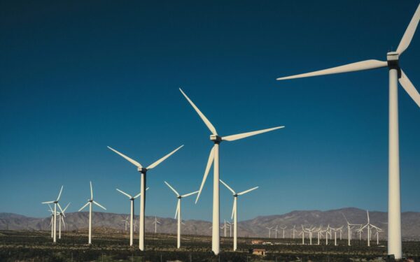 Mokslininkai skambina pavojaus varpais: vėjo jėgainės kelia pavojų, apie kurį daugelis nežino