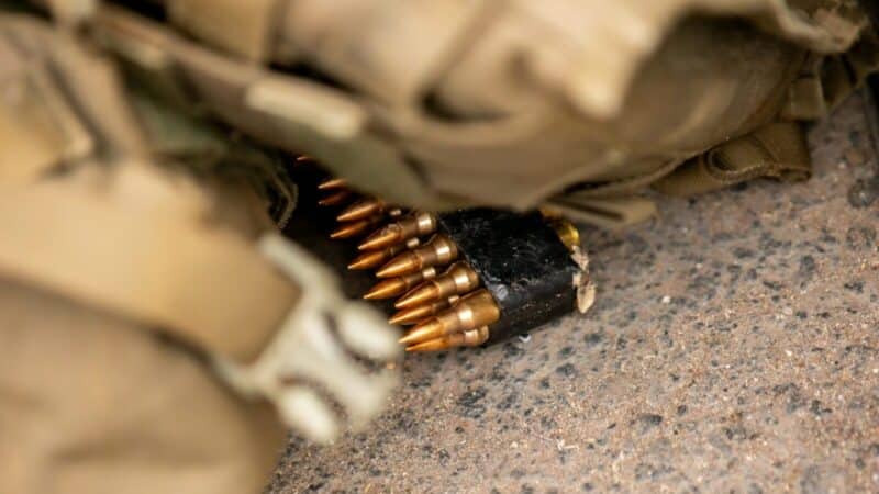 Po šaudynių Kyjive – diskusijos dėl ginklų liberalizavimo: ar bus keičiami įstatymai?