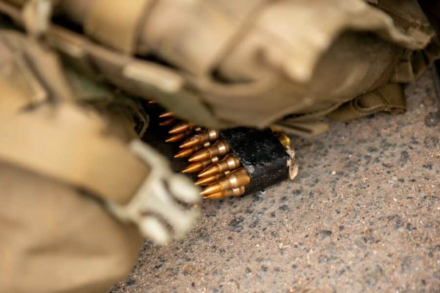 Kulkos. Pexels nuotr.