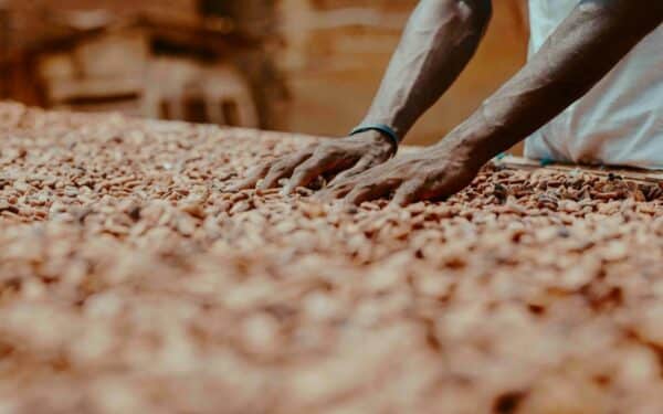 Šokolado milžinė įspėja: pelnas smunka, rinką purto kainų šuoliai ir karas