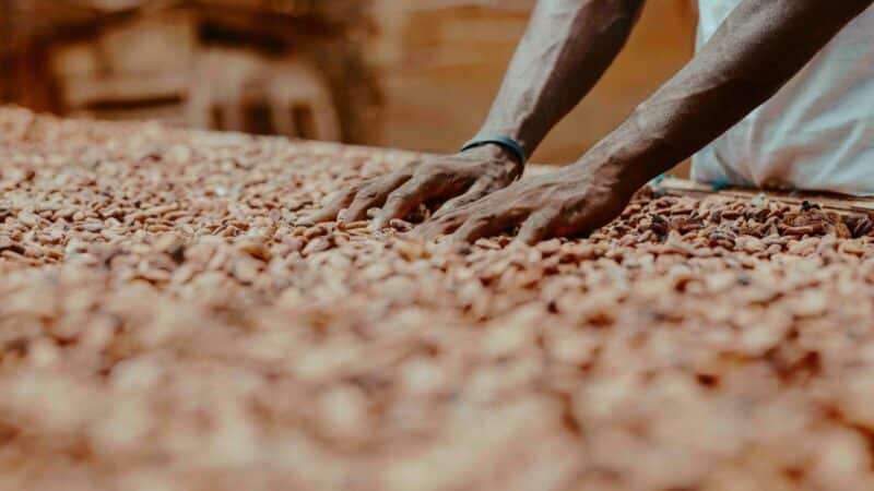 Šokolado milžinė įspėja: pelnas smunka, rinką purto kainų šuoliai ir karas