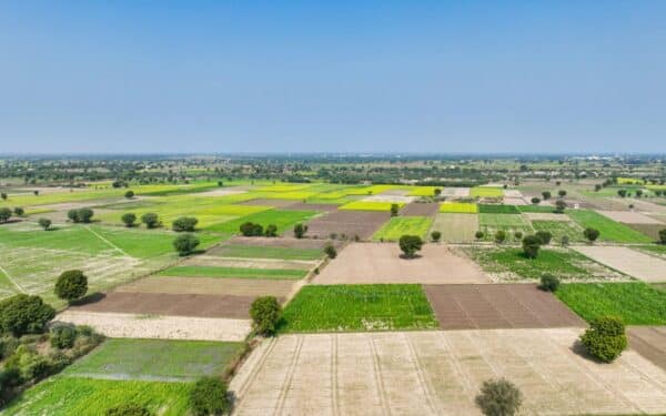 Sklypas gali kainuoti brangiai: ekspertė įspėja apie klaidas, kurios vėliau atsirūgsta