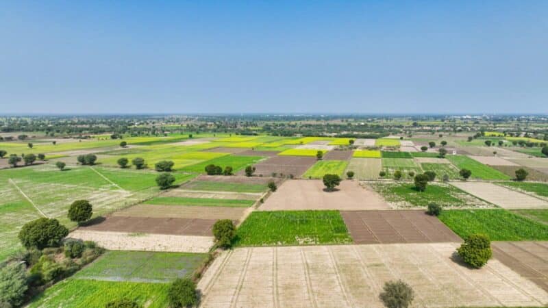 Milijardiniai planai juda į priekį: prasideda žemės paėmimas