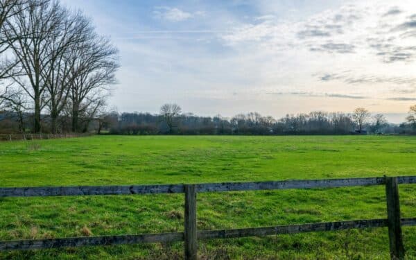 Didžiausias susidomėjimas valstybine žeme fiksuojamas Šiaulių, Šilutės ir Vilkaviškio rajonuose