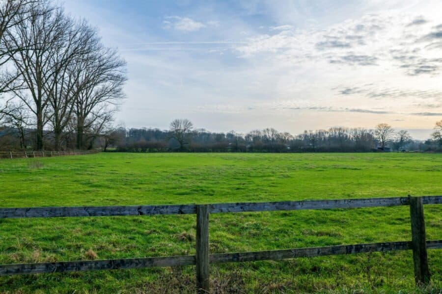 Valstybinė žemė. Pexels nuotr.